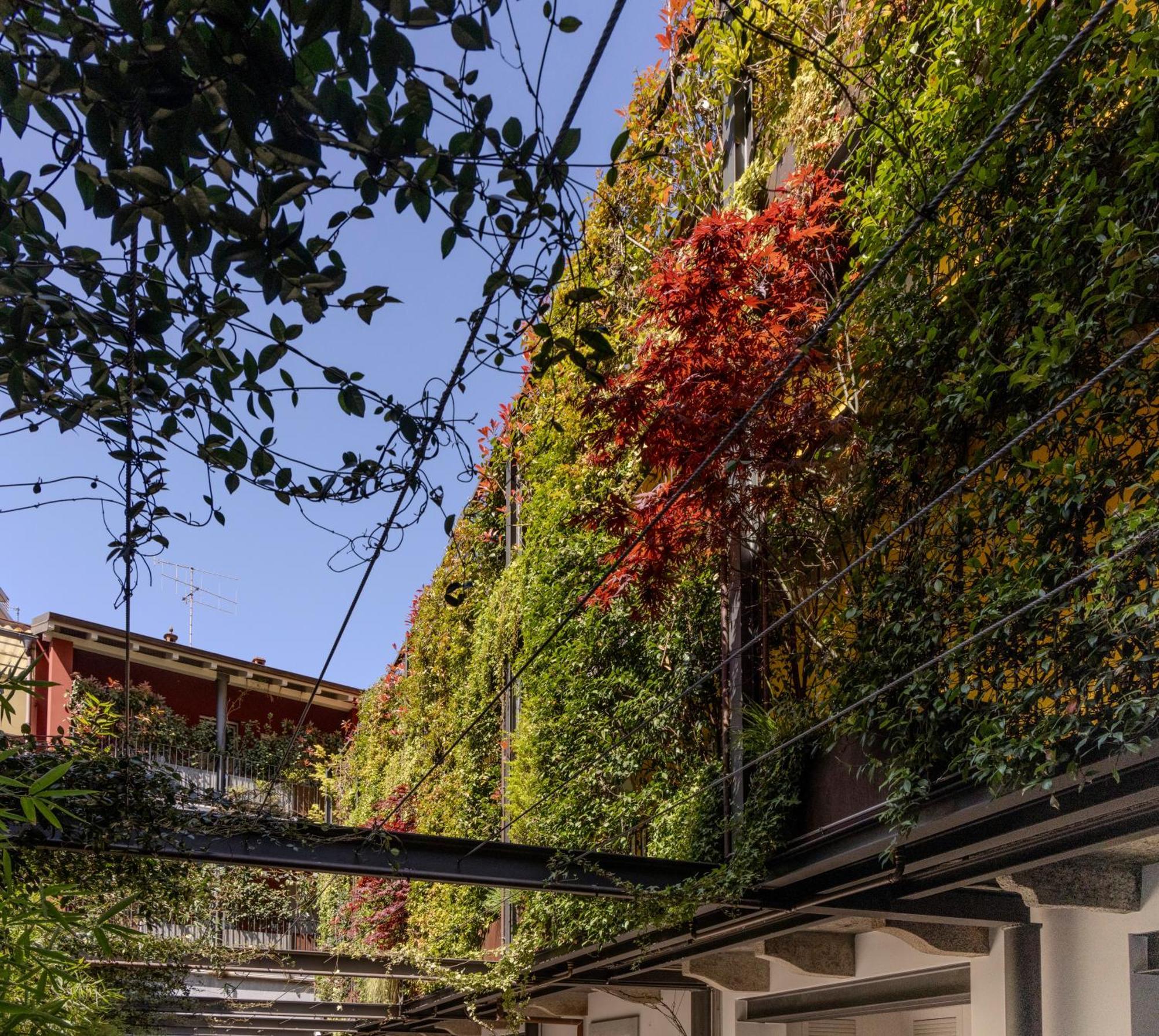 Residence Casa Coppa Appartamento Jasmine 奥梅尼亚 外观 照片